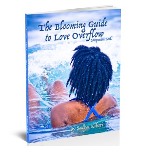 LOF_Companion_3d_Cover